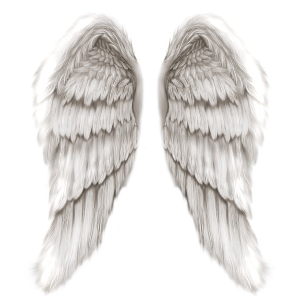 angle wings tattoo. angel wing tattoos. angel