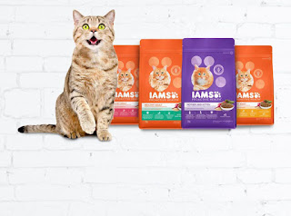 Free Dog & Cat Food Free Sample