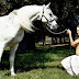 Angelina Jolie Topless Pic With Horse