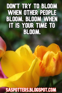 Don't try to bloom when other people bloom. Bloom when it is your time to bloom.