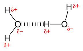 gambar ikatan hidrogen