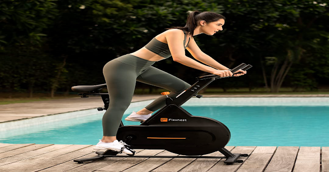 Flexnest Flexbike Lite