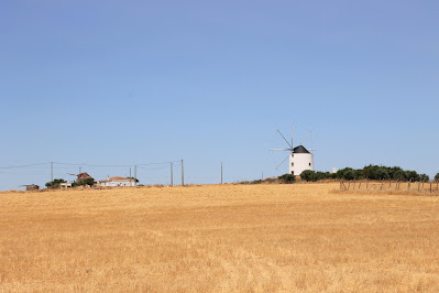 Geel landschap met witte molen