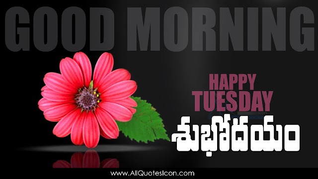 Telugu Good Morning Greetings HD Wallpapers Best Subhodayam Subhakamkshalu Telugu Quotes Images Free Download