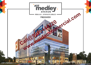 Ace Medley Avenue Retail Shops