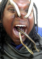 A man enters a living snake from his nose and takes it out of his mouth