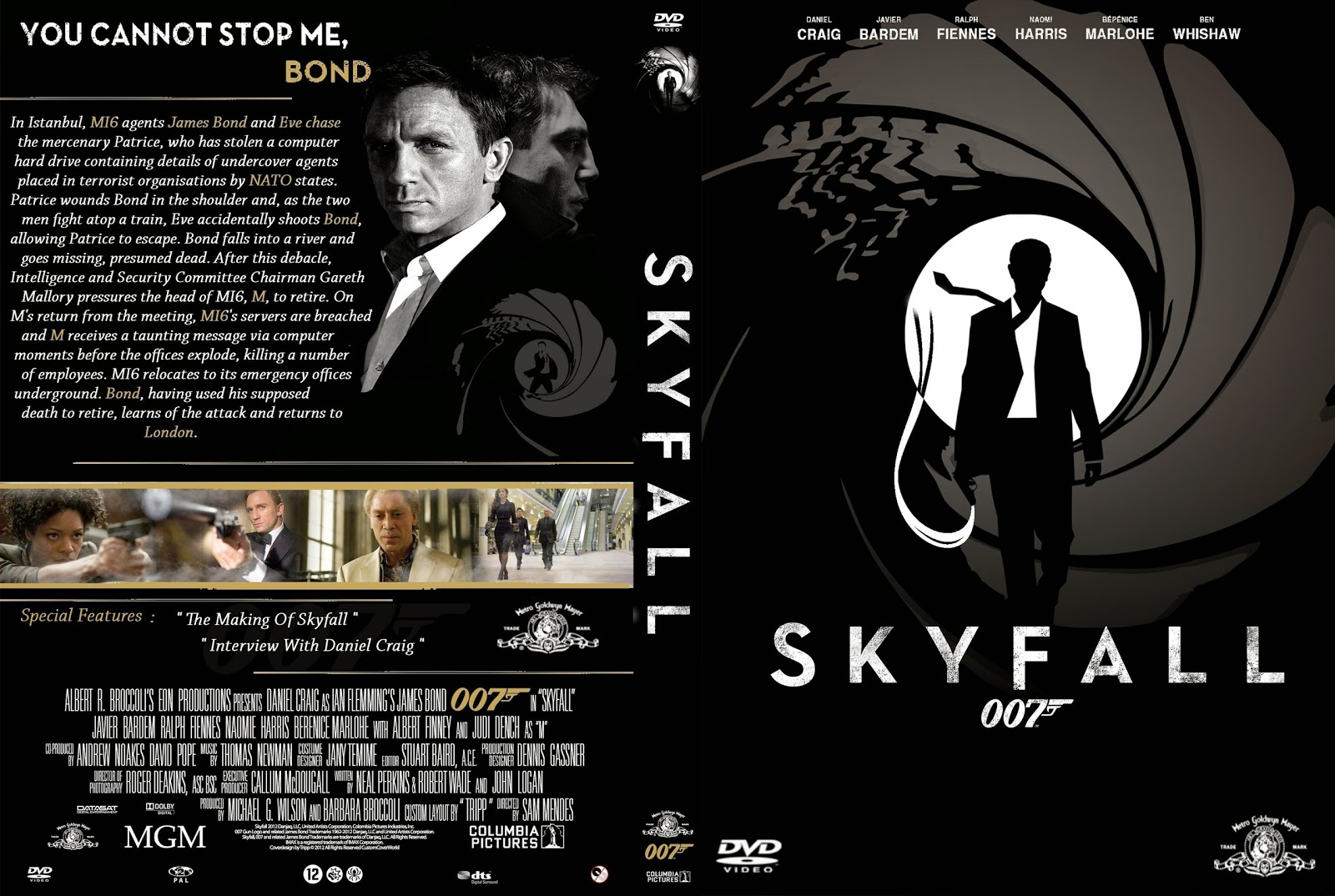 Capa DVD Skyfall 007