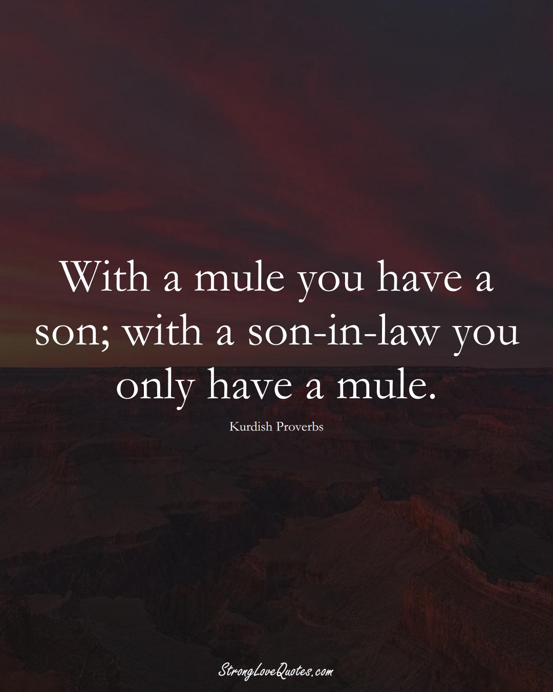 With a mule you have a son; with a son-in-law you only have a mule. (Kurdish Sayings);  #aVarietyofCulturesSayings