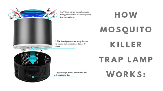 mosquito trap and kill.