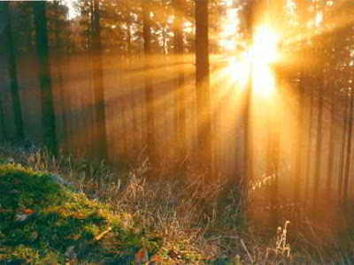 Black Forest, Schwarzwald, germany