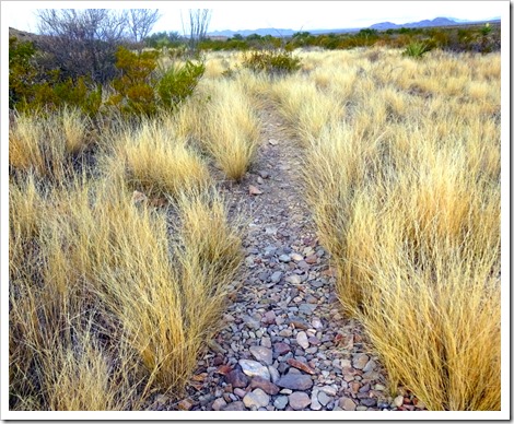 Chimneys Trail