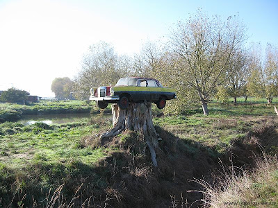 Painted Mercedes Getting Stumped in New Zealand