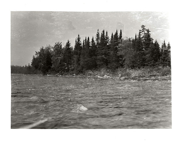 Entrance to Mud Pond Stream 29 June 1946