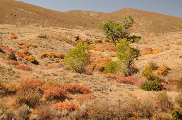 autumn landscape