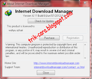 Internet Download Manager 6.11 Build 8 Full version 