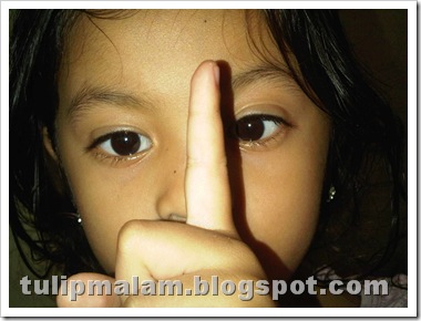 IMG01569-20110716-1005