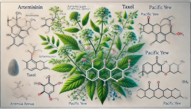puvvukonvict pharmaceutical education