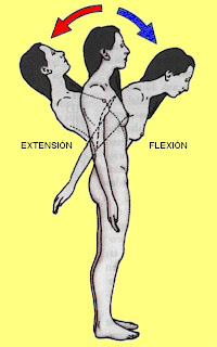 movimientos de flexión y extensión