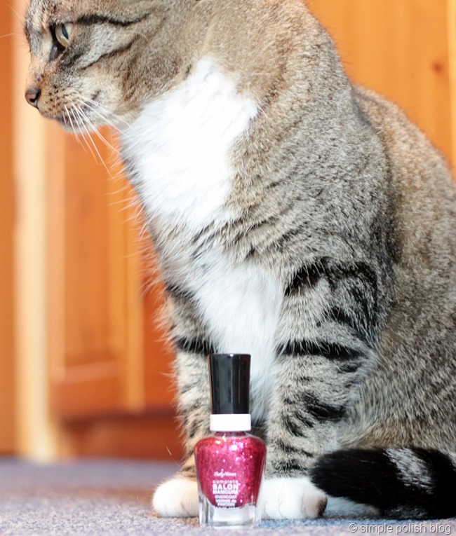 Sally-Hansen-Ruby-Do-Sttrawberry-Shields-4