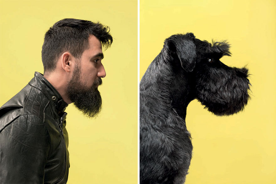 Photographer Puts Dogs Side By Side With Their Owners And Their Resemblance Is The Cutest Thing We Saw Today