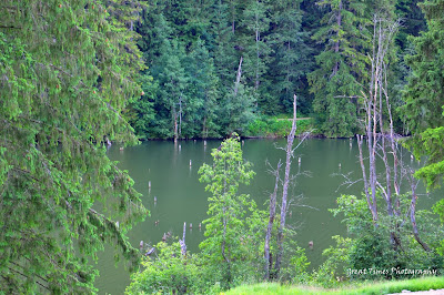 Bicaz Canyon, Cheile Bicazului, Kaczyka. Landscapes, Neamt County, 