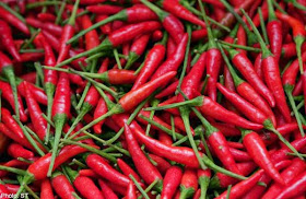 Spicy food lovers more vulnerable to stress