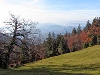 Prvi razgledi izpred koče