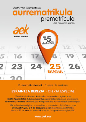 Irudia