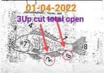 THAI LOTTERY 3UP CUT TOTAL 1-4-2565