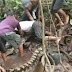 It Took Six Men To Fight A Huge 27ft Python After Wrapping Itself Around Man's Ankle [Photos]