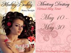 Meeting Destiny Tour