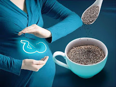 7 Kebaikan Chia Seed Untuk Ibu Hamil