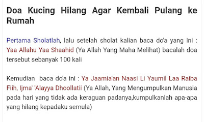 Doa semoga kucing hilang cepat balik, doa kucing hilang, doa kucing hilang balik rumah, doa kucing hilang agar segera pulang