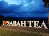 Sabah Tea Garden Ranau: Ladang Teh Organik Di Sabah