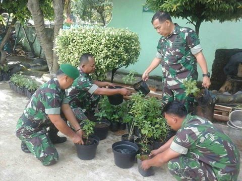 Koramil 03/Sukmajaya Lakukan Aksi Tanam Pohon Cabai