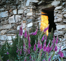 Ruins at Foncebadon, Spain