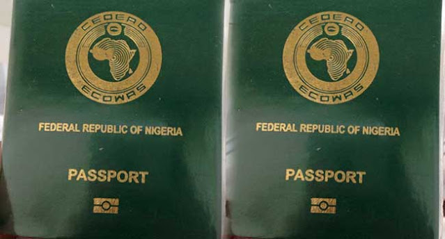 Immigration Chief Declares State Of Emergency Over Passport Delays