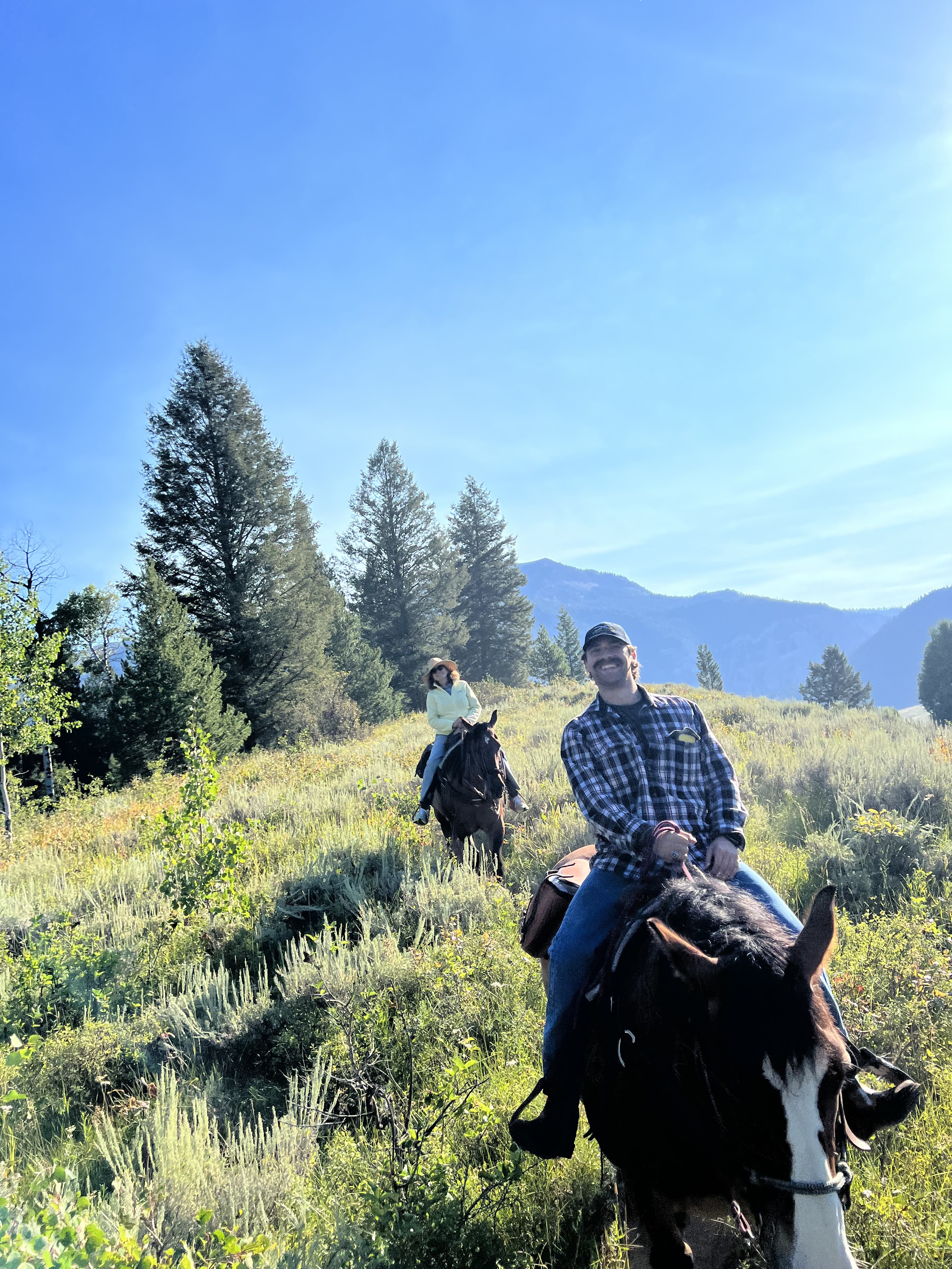 horseback riding in jackson wyoming, jackson hole travel guide, jackson travel guide