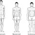 The Ectomorph Training Guide