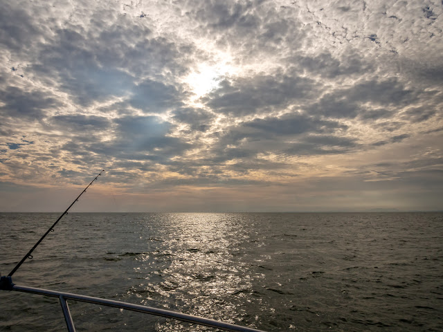 Photo of fishing from Ravensdale on the Solway Firth