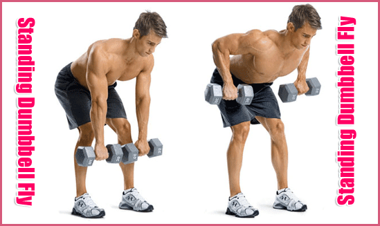 Standing Dumbbell Fly