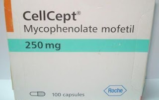 Mycophenolate دواء ميكوفينولات,CellCept دواء سيلسيبت,إستخدام دواء سيلسيبت,كيفية استخدام دواء سيلسيبت,آثار جانبية دواء سيلسيبت,التفاعلات الدوائية دواء سيلسيبت,الحمل والرضاعة CellCept دواء سيلسيبت,فارما ميد,دليل الأدوية العالمي