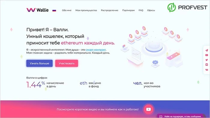 Новости от Wallie