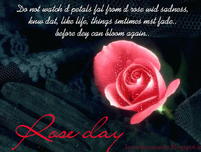 Rose Day 2013 cards|wallpapers|quotes|sms