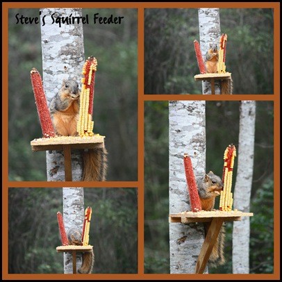 Squirrel Feeder 1-10