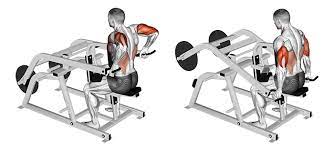 Seated tricep dips machine