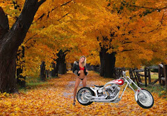 Harley Davidson Free Wallpapers 003 Beautiful Girl Standing Bike Autumn