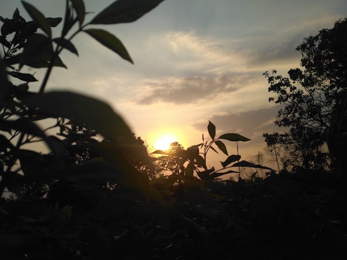 Sunset - Anuj Mohanta