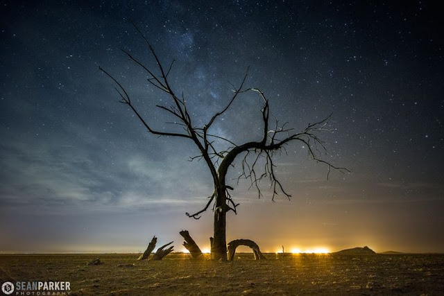 Green Pear Diaries, fotografía, Sean Parker, astro fotografía, paisajes