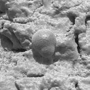 Gambar mikroskopis batuan yang menunjukkan ada air di Planet Mars
